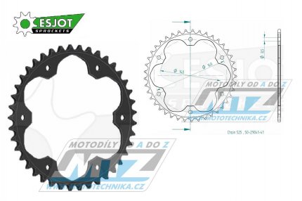 Rozeta ocelov (pevodnk) 0006-41zub ESJOT 50-29041-41 - BMW F650 GS / 08-12 + F800 GS / 08-18 + F800R / 09-18