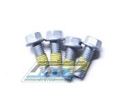 rouby brzdovho kotoue M6x16 (sada 4ks)