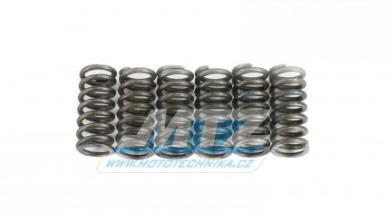 Pruiny spojkov (sada) DP-Clutches - Husqvarna TE410+TC570+TE570+TE610 / 95-03 + TE610E+SM610 (se startrem) + TC250+TE250+TC450+TE450+TC510+TE510 + CR250+WR250 + SMR400+SMR450